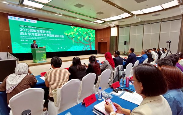 开云体育带动宇宙整治成就滨海湿地51000多公顷-开云平台皇马赞助商(中国)官方入口